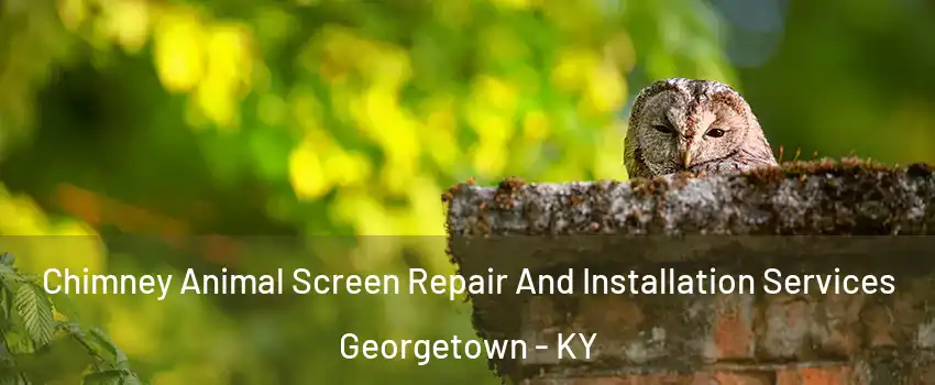  Chimney Animal Screen Repair And Installation Services Georgetown - KY