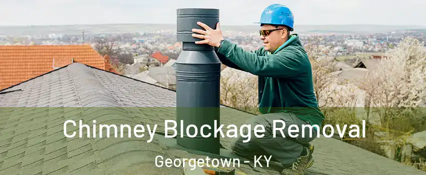  Chimney Blockage Removal Georgetown - KY