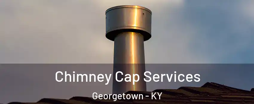  Chimney Cap Services Georgetown - KY