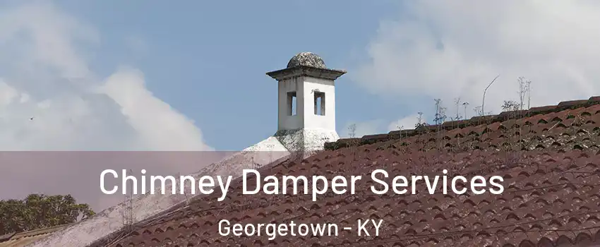  Chimney Damper Services Georgetown - KY