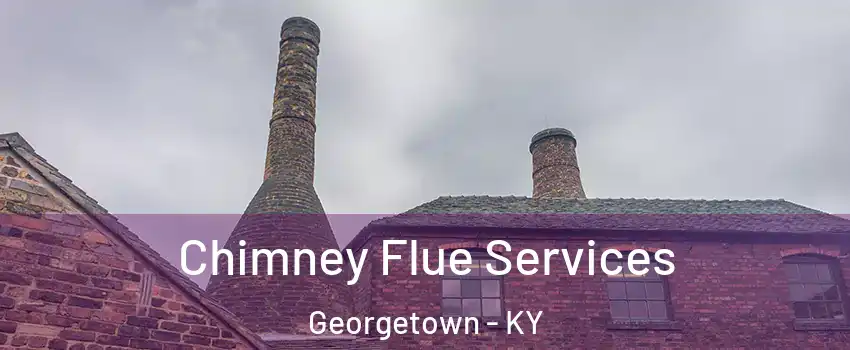  Chimney Flue Services Georgetown - KY