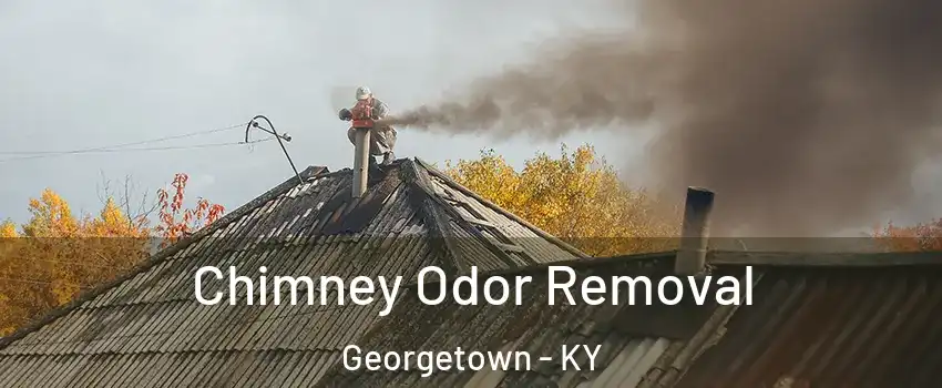  Chimney Odor Removal Georgetown - KY
