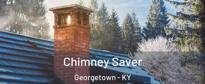  Chimney Saver Georgetown - KY
