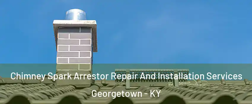  Chimney Spark Arrestor Repair And Installation Services Georgetown - KY