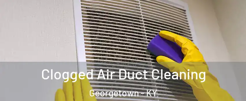  Clogged Air Duct Cleaning Georgetown - KY
