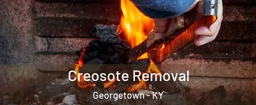  Creosote Removal Georgetown - KY