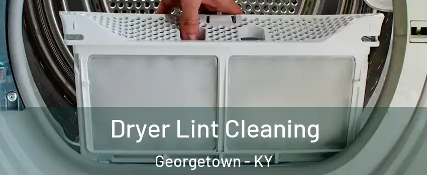  Dryer Lint Cleaning Georgetown - KY