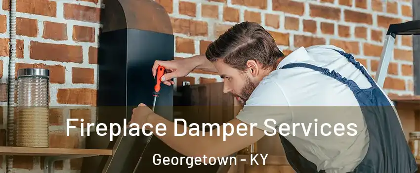  Fireplace Damper Services Georgetown - KY
