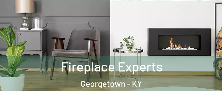  Fireplace Experts Georgetown - KY