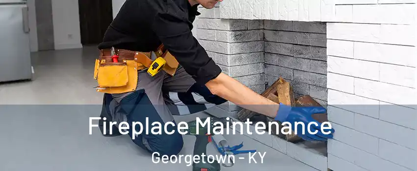  Fireplace Maintenance Georgetown - KY