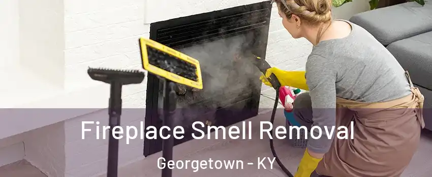  Fireplace Smell Removal Georgetown - KY