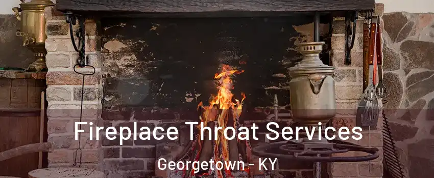  Fireplace Throat Services Georgetown - KY