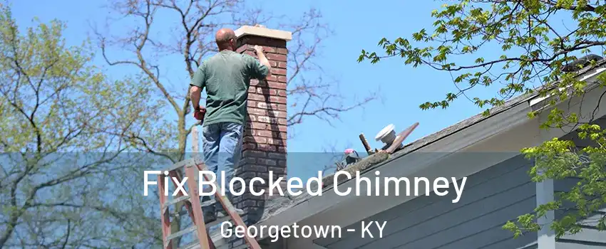  Fix Blocked Chimney Georgetown - KY
