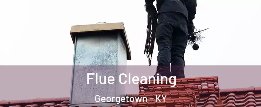  Flue Cleaning Georgetown - KY