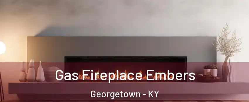  Gas Fireplace Embers Georgetown - KY