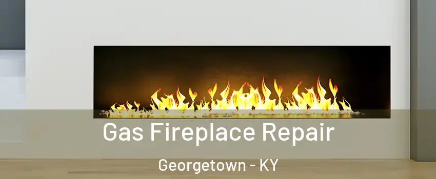  Gas Fireplace Repair Georgetown - KY