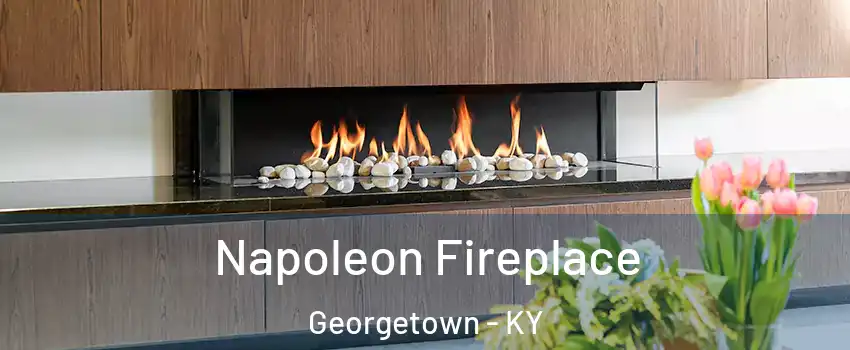  Napoleon Fireplace Georgetown - KY
