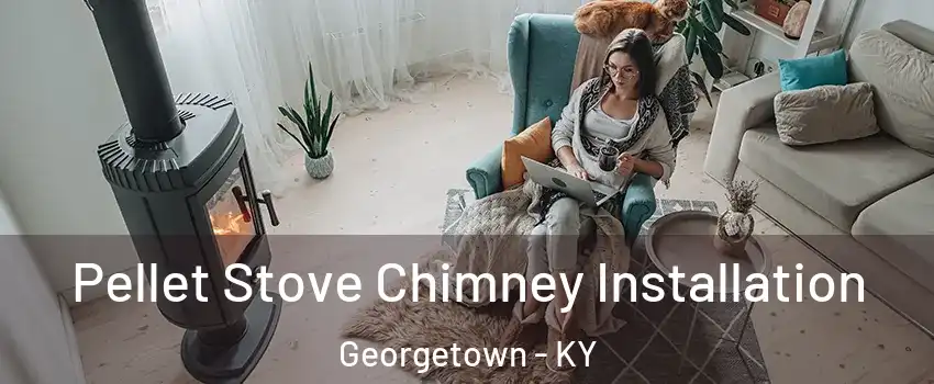  Pellet Stove Chimney Installation Georgetown - KY